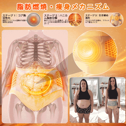 公式ブランドストア 🌟 ALLYBEE® 2026 モリンガ＆ベルベリン配合 4-in-1 マイクロパーティクル シェイピングショーツ