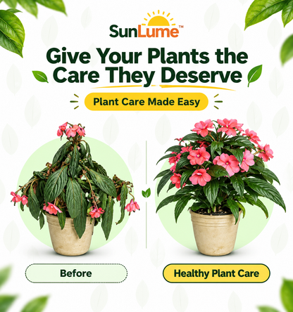 SunLume Magic Sticks — Natural Fertilizer Sticks. Buy 1 Get 1 Free