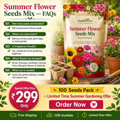 Summer Flower Seeds Mix – For Balcony, Terrace & Home Garden