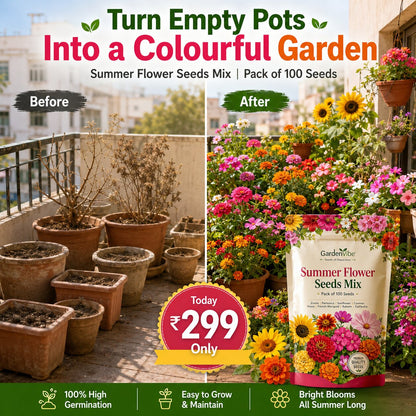 Summer Flower Seeds Mix – For Balcony, Terrace & Home Garden