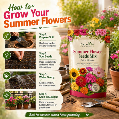 Summer Flower Seeds Mix – For Balcony, Terrace & Home Garden