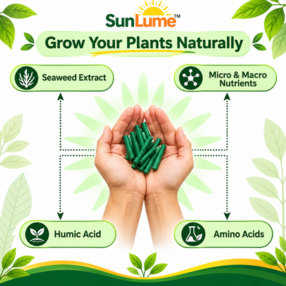 SunLume Magic Sticks — Natural Fertilizer Sticks. Buy 1 Get 1 Free