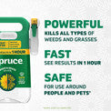 Spruce 64oz Manual Weed & Grass Killer