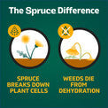 Spruce 64oz Manual Weed & Grass Killer