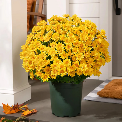 Artificial Outdoor Mums Flowers - UV resistant, Waterproof, Windproof🌼