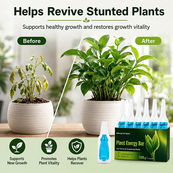 Official US Store  NorAlert® Plant Energy Bar