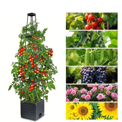🌱Garden Raised Bed Planter Boxes with Trellis